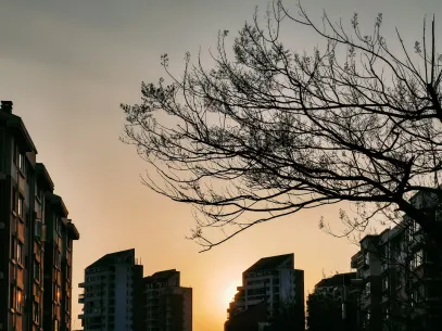 MegaReel Casino Aplicación móvil